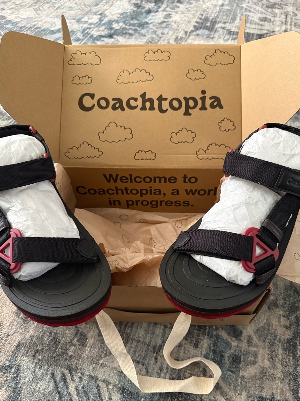 Coach Coachtopia strappy sandal.